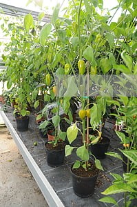 钦州债务合同纠纷律师联系电话 钦州债务合同纠纷律师联系电话
