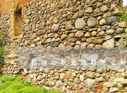 钦州公积金逾期怎么补交 钦州公积金逾期怎么补交