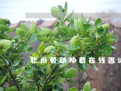 钦州劳动仲裁在线咨询 钦州劳动仲裁在线咨询