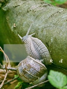 钦州处理遗嘱公证法律问题律师 钦州处理遗嘱公证法律问题律师