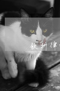 钦州律师 钦州律师