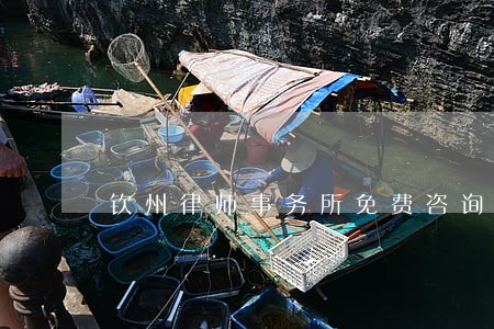 钦州律师事务所免费咨询 钦州律师事务所免费咨询
