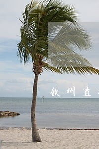 钦州直行车祸事故应该怎么样诉讼 钦州直行车祸事故应该怎么样诉讼