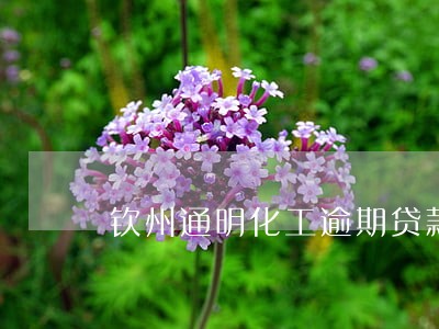 钦州通明化工逾期贷款 钦州通明化工逾期贷款