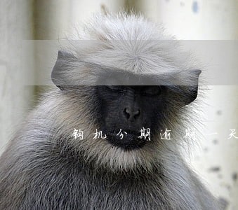 钩机分期逾期一天多少费用 钩机分期逾期一天多少费用