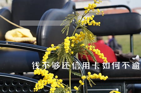 钱不够还信用卡如何不逾期 钱不够还信用卡如何不逾期