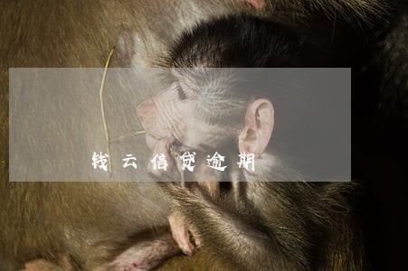 钱云信贷逾期 钱云信贷逾期