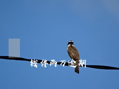 钱伴两万逾期 钱伴两万逾期