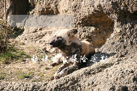 钱伴安心保险逾期 钱伴安心保险逾期