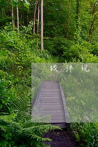钱伴现在逾期爆通讯录吗 钱伴现在逾期爆通讯录吗