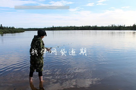 钱伴网贷逾期 钱伴网贷逾期