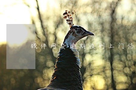 钱伴网贷逾期收到上门信息 钱伴网贷逾期收到上门信息
