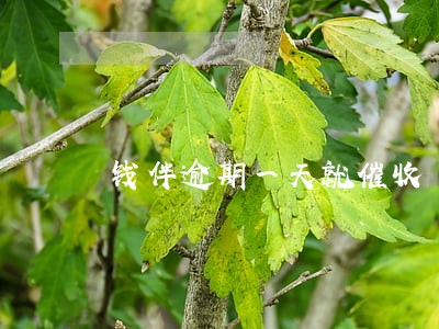 钱伴逾期一天就催收 钱伴逾期一天就催收
