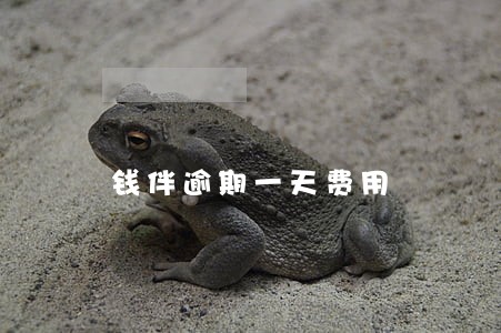 钱伴逾期一天费用 钱伴逾期一天费用