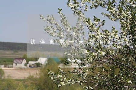 钱伴逾期一天费用多少