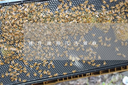 钱伴逾期几天催收 钱伴逾期几天催收
