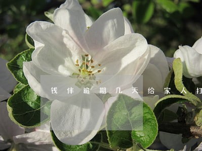 钱伴逾期几天给家人打电话 钱伴逾期几天给家人打电话