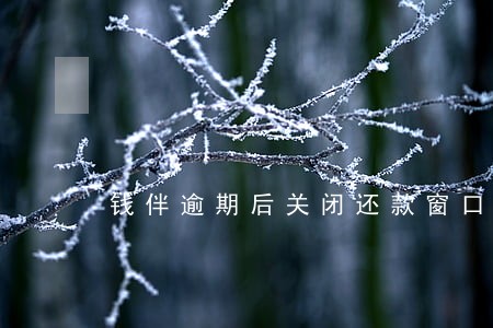 钱伴逾期后关闭还款窗口怎么办 钱伴逾期后关闭还款窗口怎么办