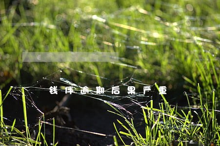 钱伴逾期后果严重 钱伴逾期后果严重