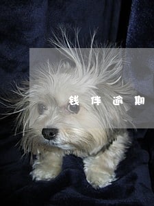 钱伴逾期收到传票 钱伴逾期收到传票