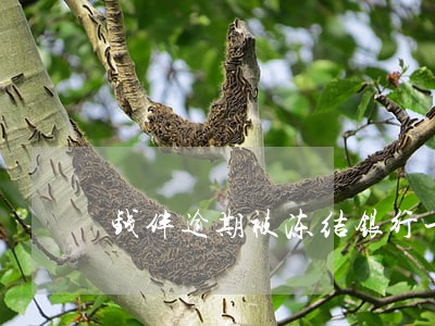 钱伴逾期被冻结银行卡 钱伴逾期被冻结银行卡
