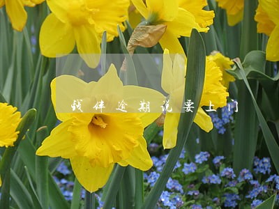 钱伴逾期说要上门 钱伴逾期说要上门