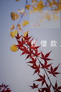 钱借款只还本金 钱借款只还本金