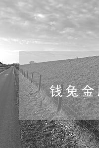 钱兔金服闪电周转逾期 钱兔金服闪电周转逾期