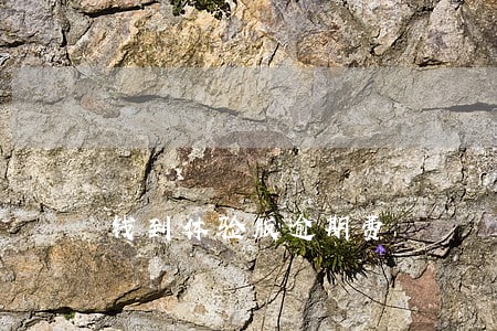 钱到体验版逾期费 钱到体验版逾期费