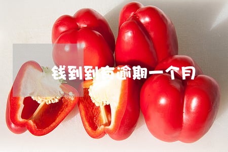 钱到到有逾期一个月 钱到到有逾期一个月