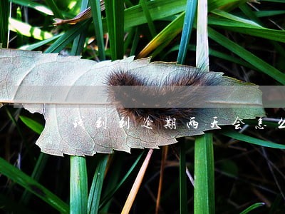 钱到到逾期两天会怎么样 钱到到逾期两天会怎么样