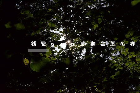 钱包app逾期会怎么样 钱包app逾期会怎么样
