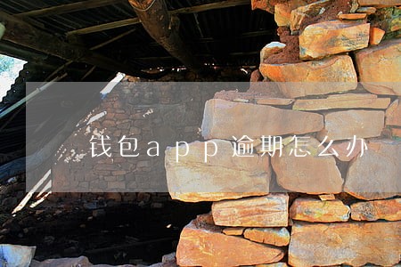 钱包app逾期怎么办 钱包app逾期怎么办