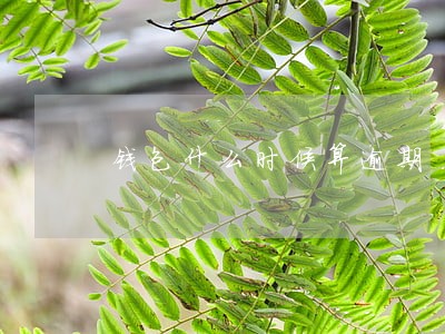 钱包什么时候算逾期 钱包什么时候算逾期