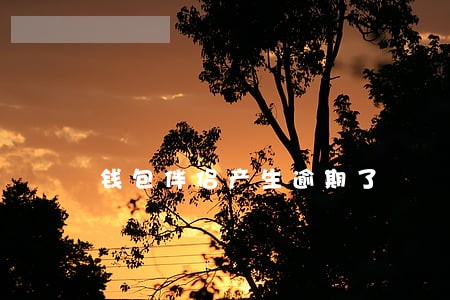 钱包伴侣产生逾期了 钱包伴侣产生逾期了