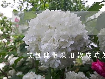 钱包伴侣没扣款成功发逾期短信 钱包伴侣没扣款成功发逾期短信