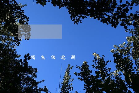 钱包侠逾期 钱包侠逾期