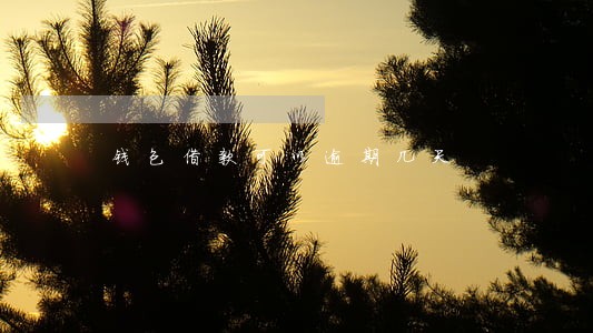 钱包借款可以逾期几天 钱包借款可以逾期几天