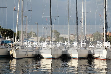 钱包借款逾期有什么影响 钱包借款逾期有什么影响