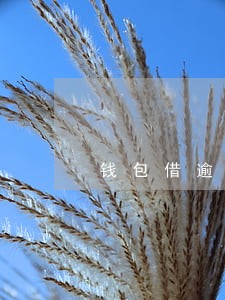 钱包借逾期一天 钱包借逾期一天