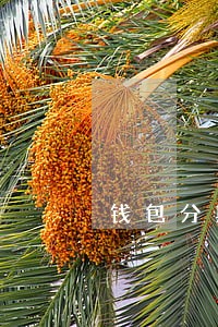 钱包分期逾期一天会怎样 钱包分期逾期一天会怎样