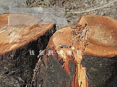 钱包到啦逾期 钱包到啦逾期