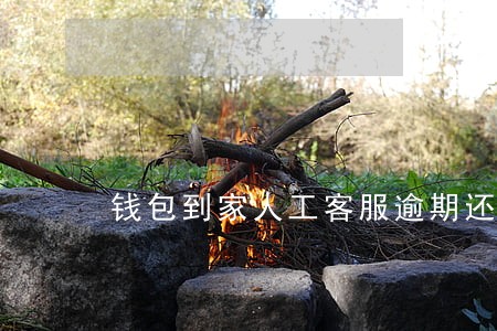 钱包到家人工客服逾期还款电话 钱包到家人工客服逾期还款电话