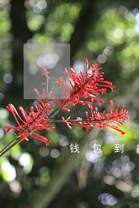 钱包到家贷款逾期一天会怎样 钱包到家贷款逾期一天会怎样