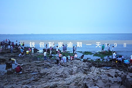 钱包到家逾期一天198 钱包到家逾期一天198
