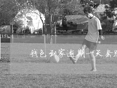 钱包到家逾期一天套路吗 钱包到家逾期一天套路吗