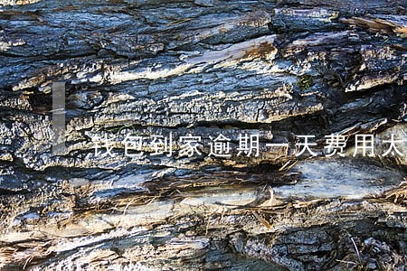 钱包到家逾期一天费用太高 钱包到家逾期一天费用太高