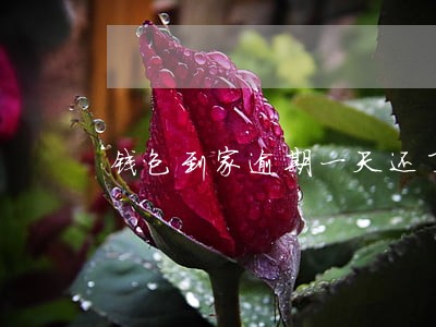 钱包到家逾期一天还了还能借吗 钱包到家逾期一天还了还能借吗
