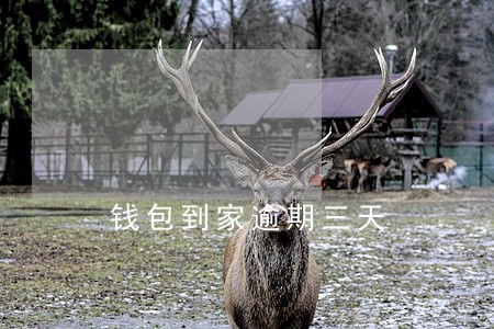 钱包到家逾期三天 钱包到家逾期三天