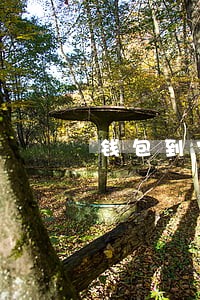 钱包到家逾期会怎么样 钱包到家逾期会怎么样